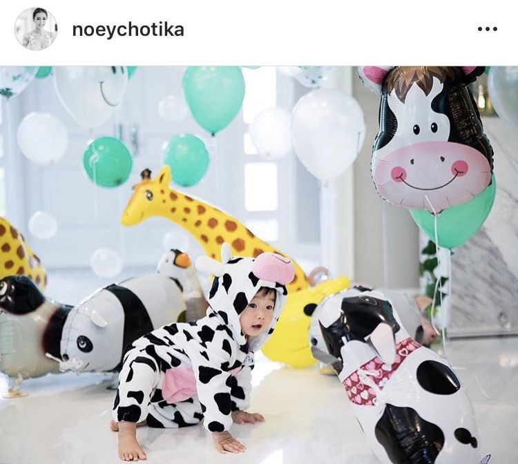 น้องอคิณ ลูกวัวน้อยน่ารักสุดๆ