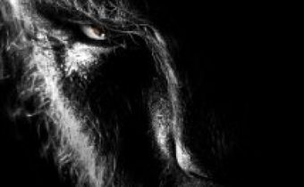 The Wolfman มนุษย์หมาป่าราชันย์อำมหิต