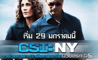CSI : NY หน่วยเฉพาะกิจสืบศพระทึกนิวยอร์ก ปี 5