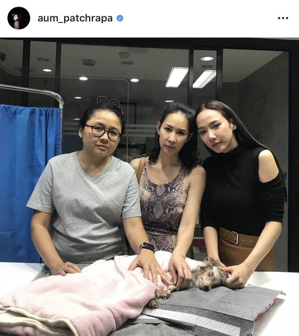 อั้ม เศร้าน้องหมาเสียชีวิต