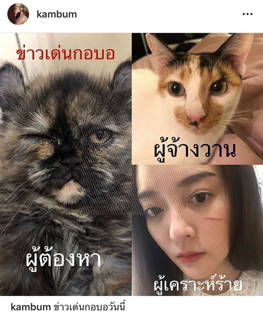 เผยโฉมหน้าผู้กระทำ
