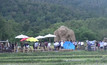 แห่แชะภาพคู่คิงคองยักษ์กลางทุ่งนา