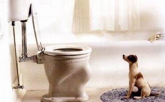 My Dog Skip สคิป เจ้าหมาเพื่อนรัก