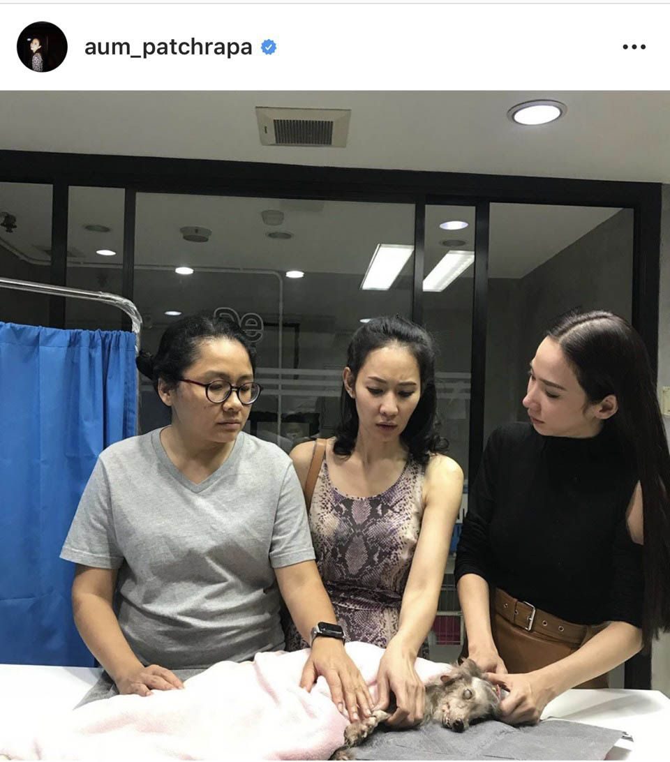 อั้ม เศร้าน้องหมาเสียชีวิต