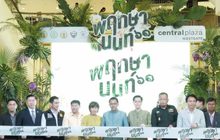 “พฤกษานนท์ 61” ตระการตาพันธุ์ไม้แห่งปีของนนทบุรี
