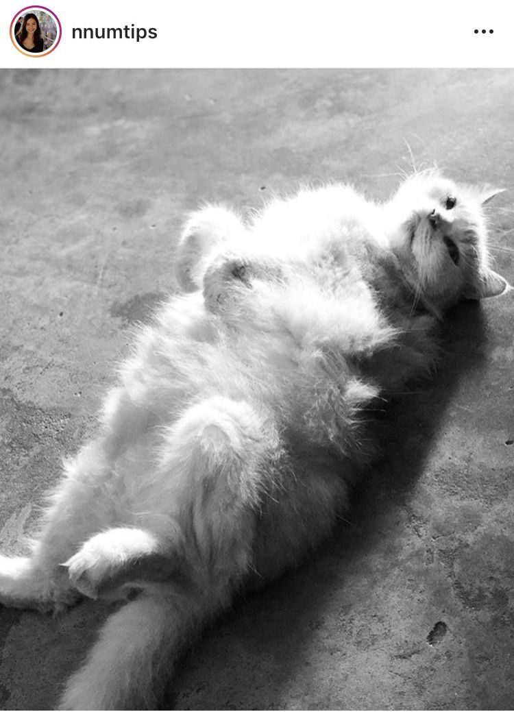 น้ำทิพย์ น้องสาว น้ำตาล โพสต์ไอจี