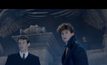 ผลสำรวจชี้ Fantastic Beasts 2 เป็นหนังที่ถูกรอคอยมากที่สุดช่วงท้ายปี 2018