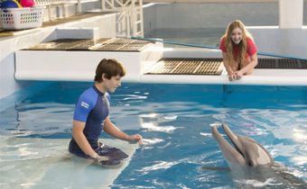 Dolphin Tale 2 มหัศจรรย์โลมาหัวใจนักสู้ 2