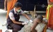 หัวหินเตรียมระดมจับสุนัขจรจัดวันนี้