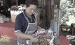ลมหนาวมาเร็ว สตรอว์เบอร์รี่ชุดแรกของปีเริ่มวางขาย