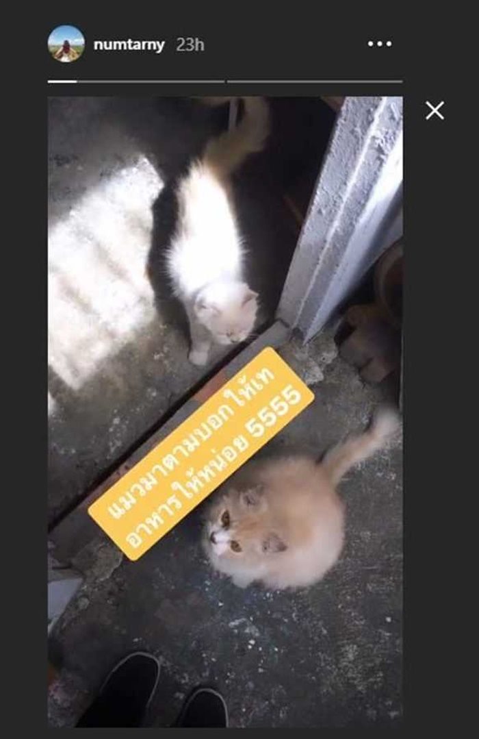 น้ำตาล เดอะสตาร์ โพสต์ไอจีสตอรี่ 23 ช.ม. ก่อนล้มป่วย