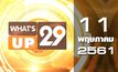 What’s up 29 11-05-61