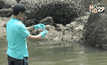 เก็บตัวอย่างน้ำทะเลหาดป่าตองหลังมีสีขุ่น