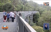 นทท.แห่เดินชมธรรมชาติ“คาโนปี้วอล์คเวย์” เชียงใหม่