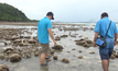 ปะการังโผล่ หลังน้ำทะเลเกาะทะลุลดต่ำสุดในรอบ 20 ปี