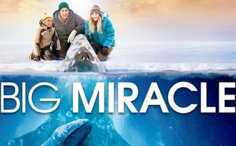Big Miracle ปาฏิหาริย์วาฬสีเทา