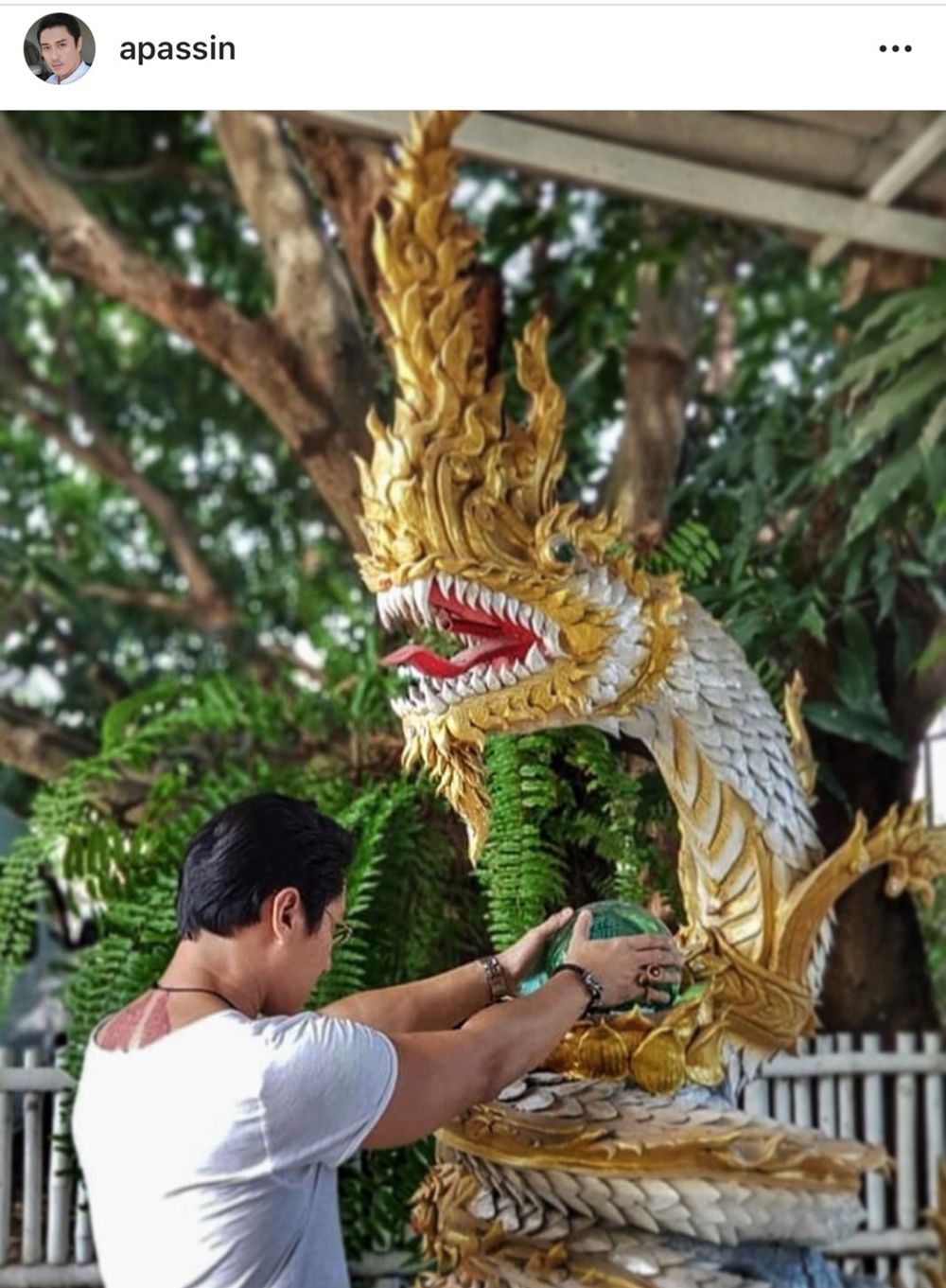 เอ พศิน
