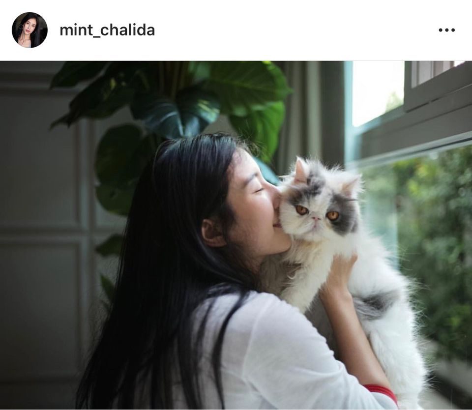 มิ้นต์ ชาลิดา