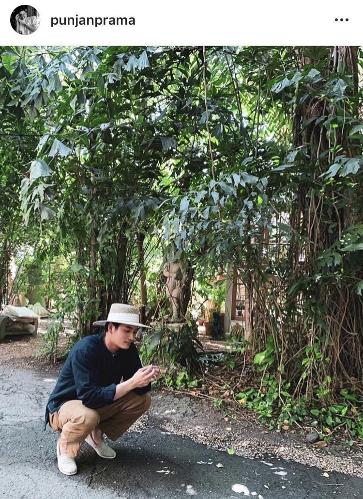 ปั้นจั่น ปรมะ