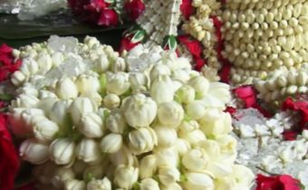 ราคาดอกมะลิวันแม่ปีนี้ทรงตัว