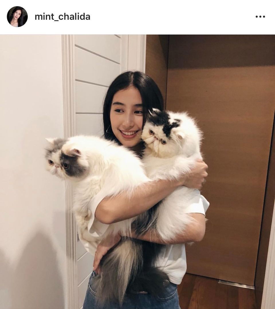 มิ้นต์ ชาลิดา