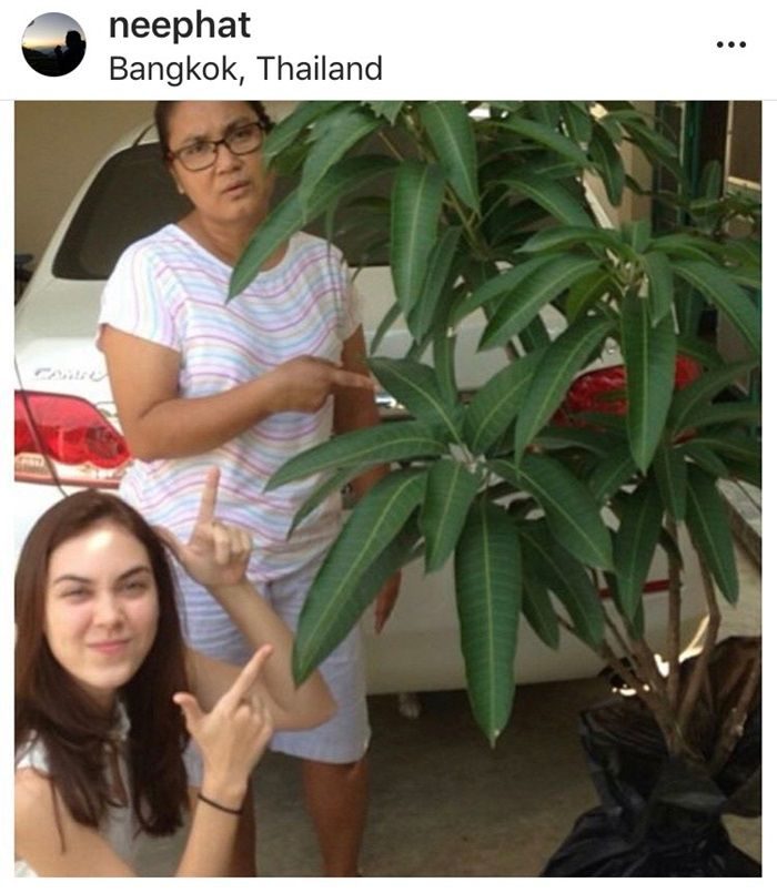 แมท - แม่นีย์
