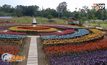 สวนดอกทิวลิปพลาสติกในฟิลิปปินส์