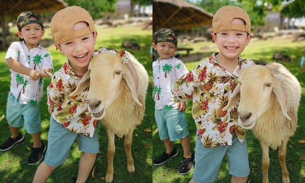 น้องแพนเตอร์ - น้องพูม่า ลูกชาย ปีเตอร์ คอร์ป