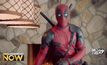 “ไรอัน เรย์โนลด์” อยากสำรวจความหลากหลายทางเพศของ Deadpool