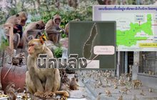 นิคมลิง 17-05-61