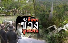 ค้นหาช้างถูกรถชน
