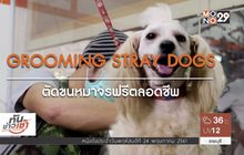 คนดีเปลี่ยนโลก Man Changes the World ตอน:ตัดขนหมาจรฟรีตลอดชีพ