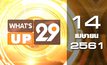 What’s Up 29 14-04-61