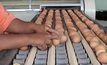 สิงคโปร์เพิ่มโควตานำเข้าไข่ไก่ไทย กว่า 10 ล้านฟอง