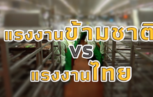 THE MORNING – ปลดล็อก “อาชีพสงวน”