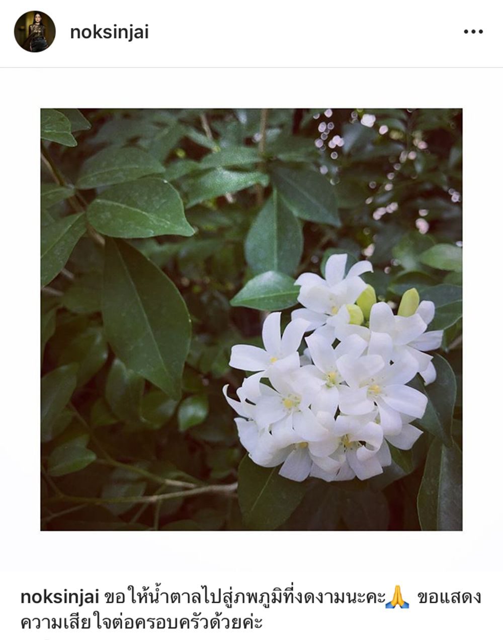 ไอจี นก สินจัย